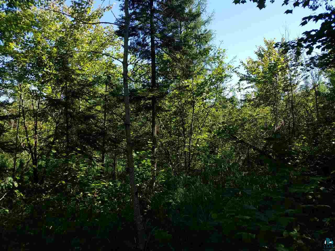 Near Morley Beach Road Cotton, MN 55724 - Photo 3 of 4 Gallery Image 3