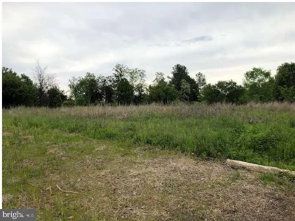 a view of a field