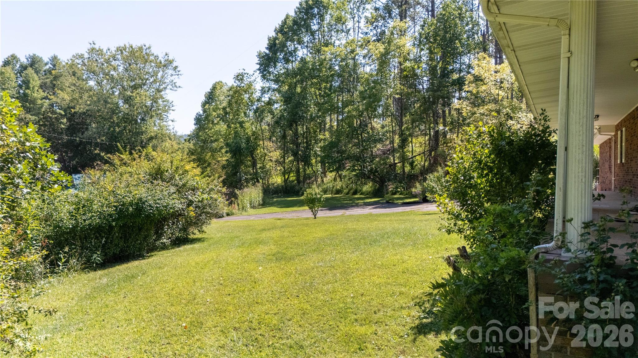 208 Murdock Road Bakersville, NC 28705 - Photo 40 of 46 a view of a yard with an trees