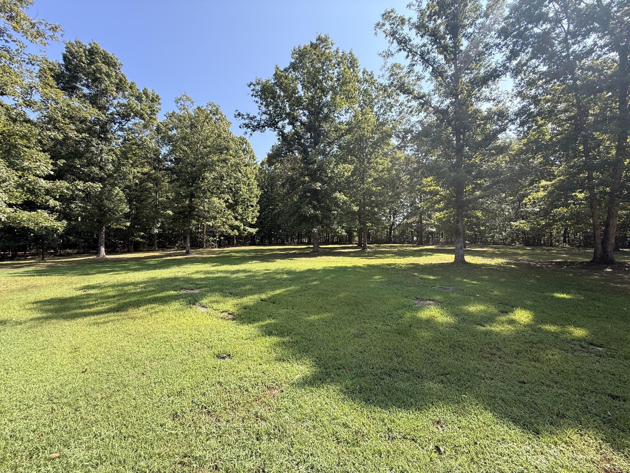 145 Eaglet Road Summertown, TN 38483 - Photo 17 of 23 Gallery Image 17