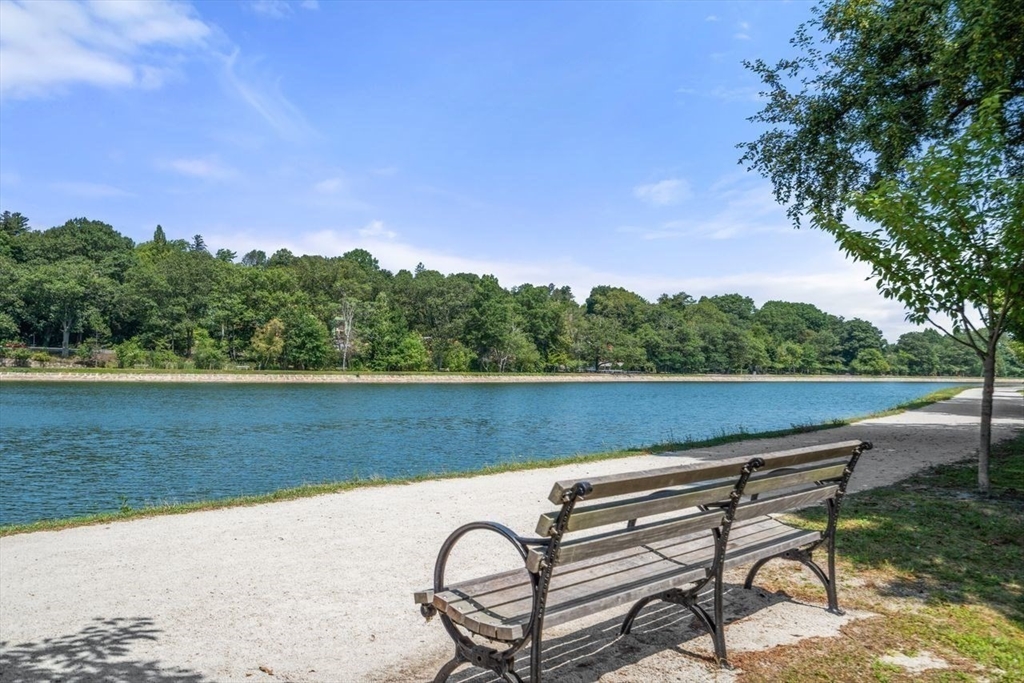 52 Clinton Road Brookline, MA 02445 - Photo 35 of 38