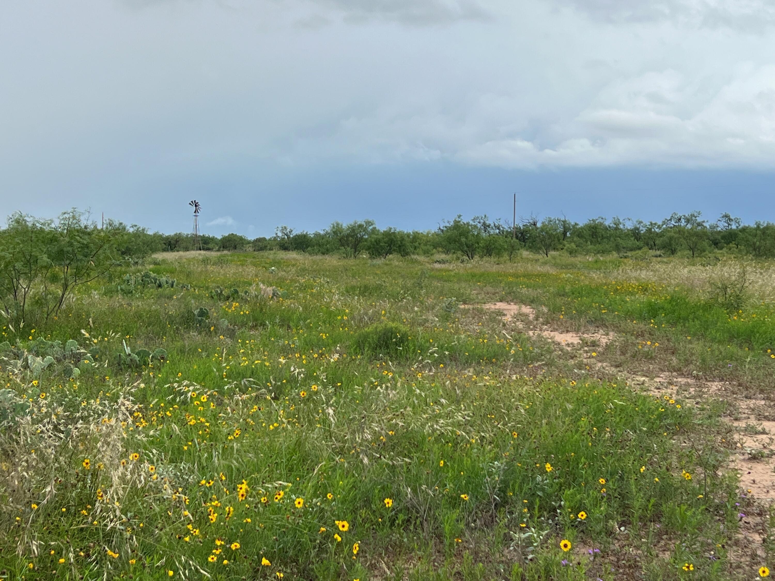 1818 County Road 267 Ballinger, TX 76821 - Photo 35 of 70 IMG_8546