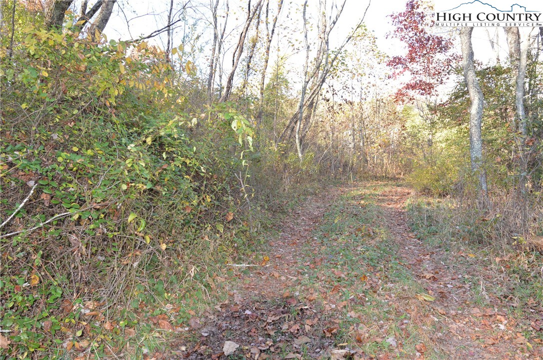0 Pine Swamp Road Sparta, NC 28675 - Photo 13 of 32 Gallery Image 13