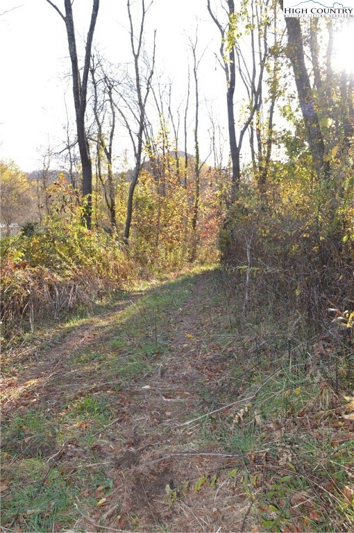 0 Pine Swamp Road Sparta, NC 28675 - Photo 27 of 32 Gallery Image 27