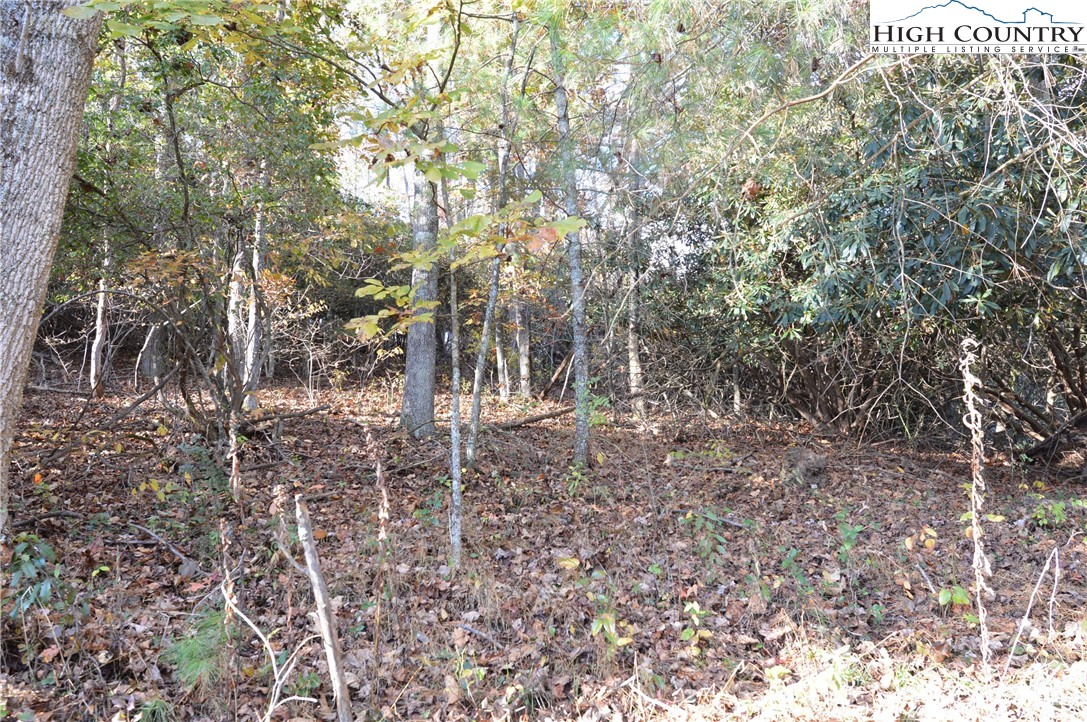 0 Pine Swamp Road Sparta, NC 28675 - Photo 7 of 32 Gallery Image 7