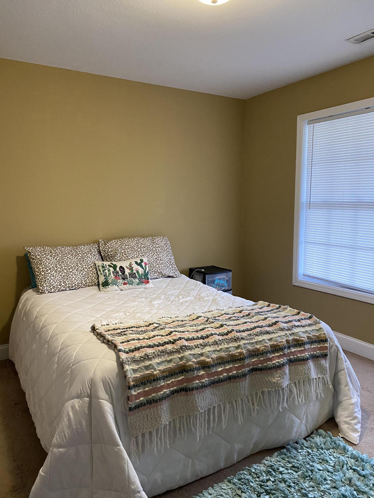 825 Haggard Road Ringgold, GA 30736 - Photo 22 of 36 IMG_0004