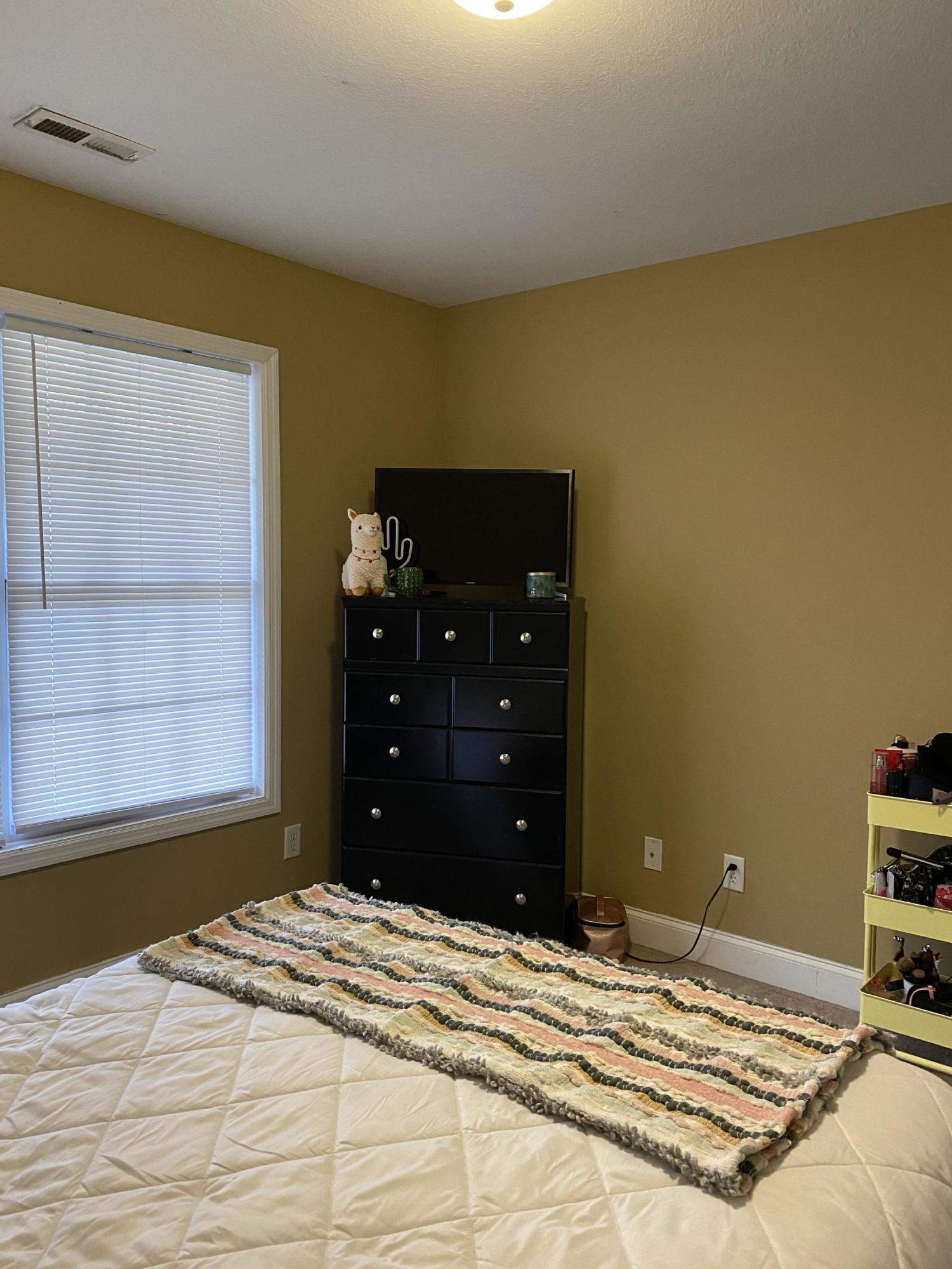 825 Haggard Road Ringgold, GA 30736 - Photo 23 of 36 IMG_0005