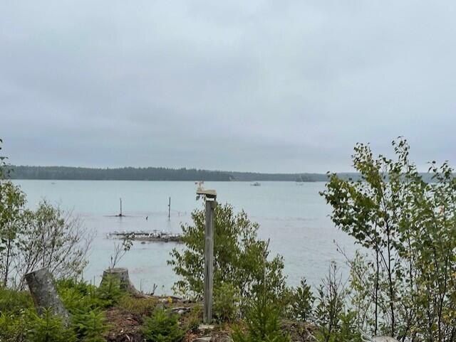 604 Duck Cove Road Roque Bluffs, ME 04654 - Photo 3 of 30 waterfront