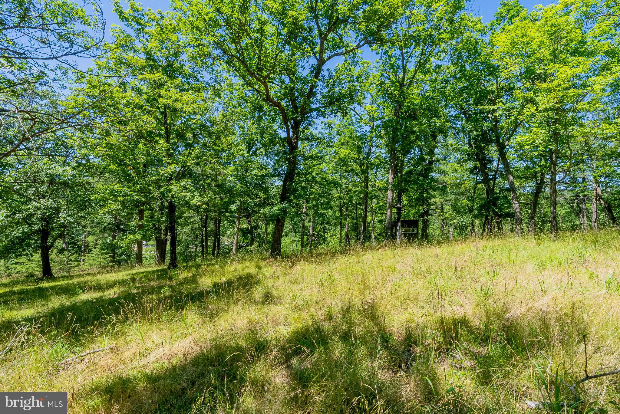 2084 Double Cribbs Road Burlington, WV 26710 - Photo 18 of 87