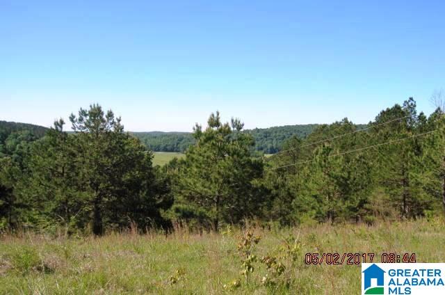 82-acres Creed Road, Unit 82 ACRES Lineville, AL 36266 - Photo 7 of 20