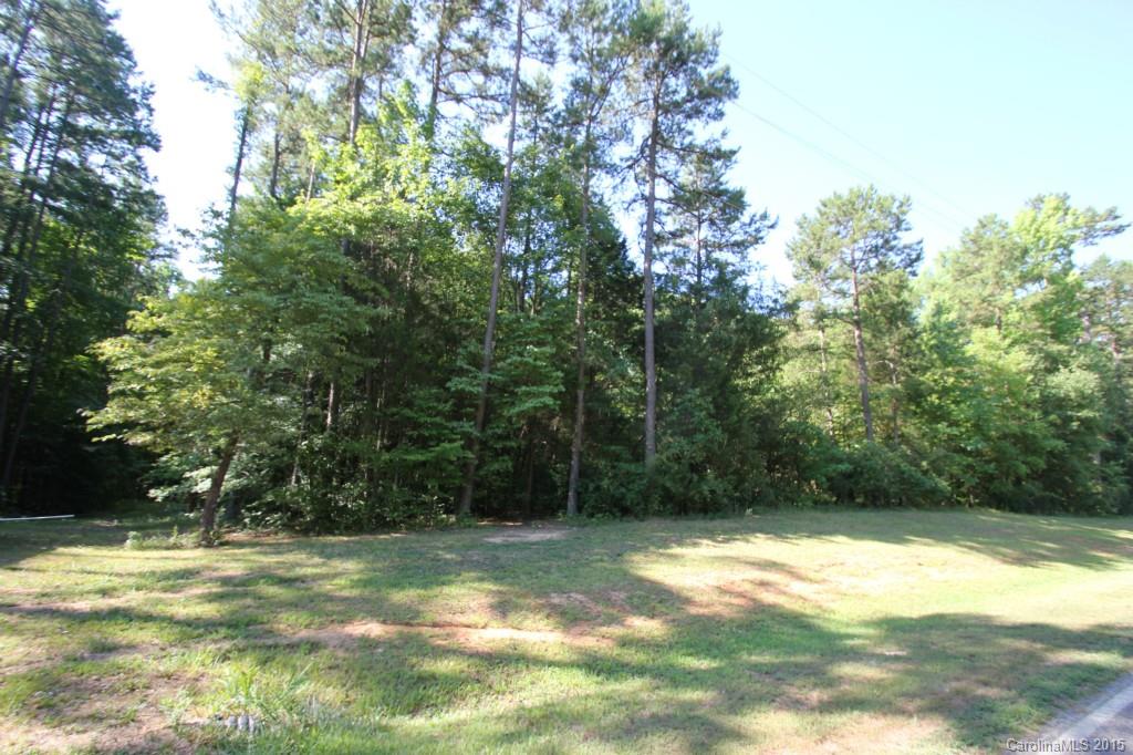 7 Lot Nesbit Road Waxhaw, NC 28173 - Photo 3 of 8 a view of a yard with a tree