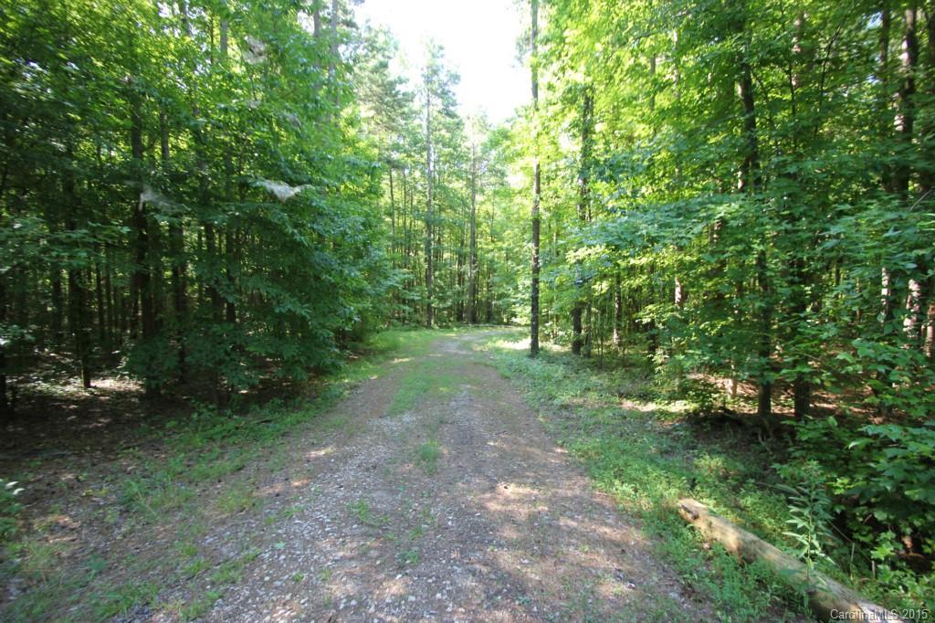 7 Lot Nesbit Road Waxhaw, NC 28173 - Photo 4 of 8 a view of a forest with trees in the background
