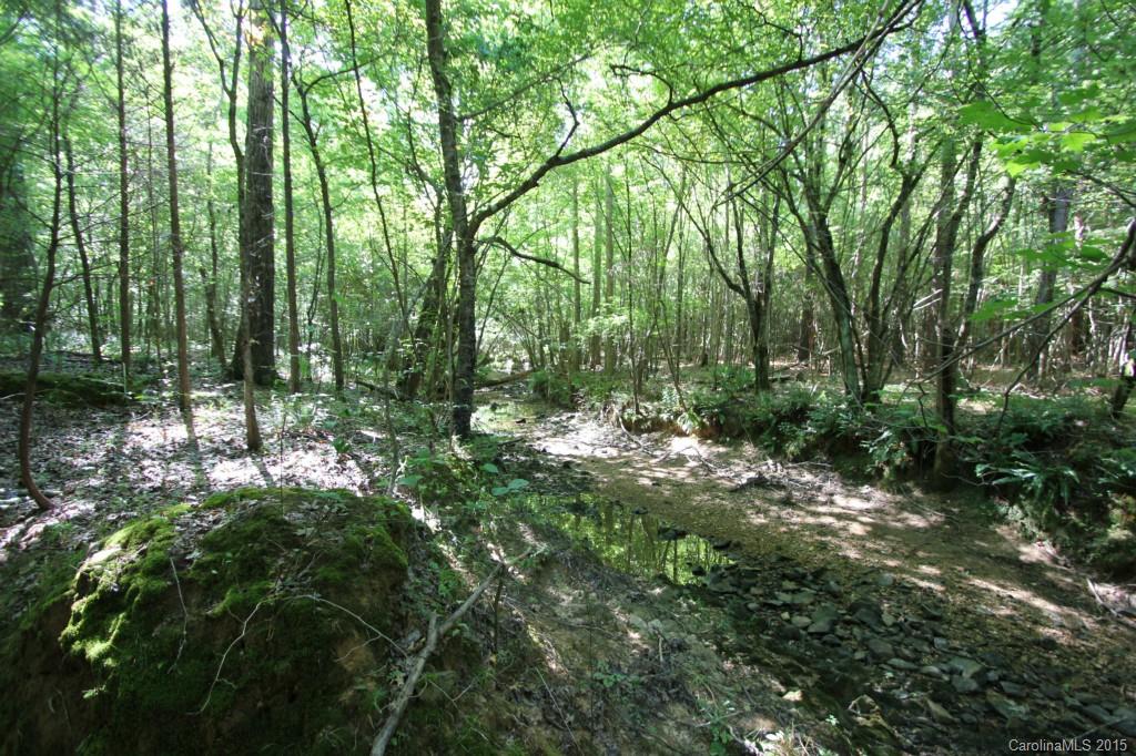 7 Lot Nesbit Road Waxhaw, NC 28173 - Photo 8 of 8 a view of forest