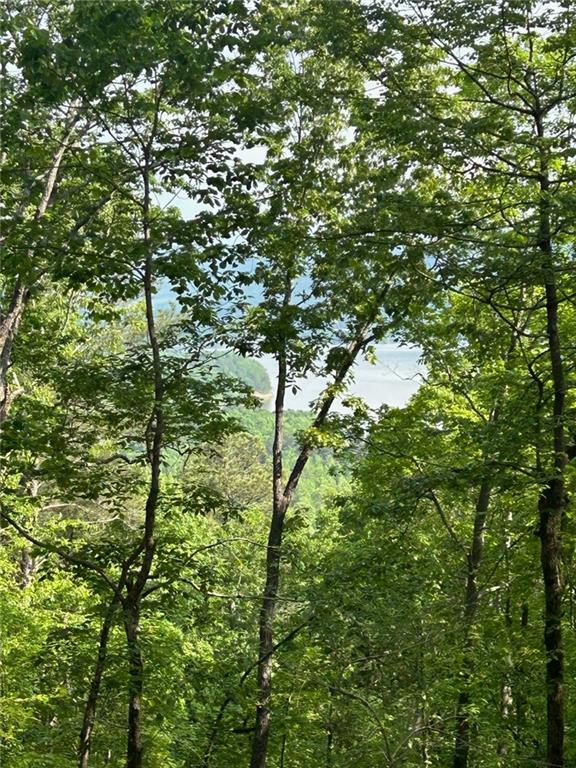 324 Adair Drive Ranger, GA 30734 - Photo 2 of 12 a backyard of a house with lots of trees