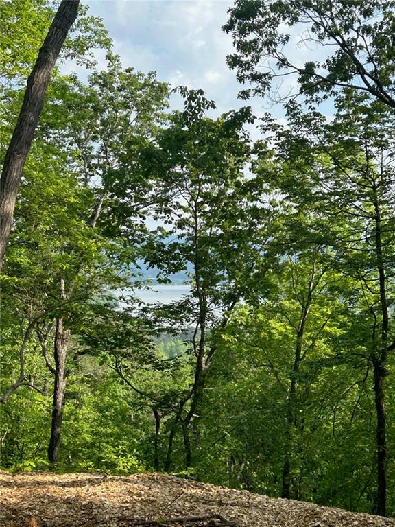 324 Adair Drive Ranger, GA 30734 - Photo 4 of 12