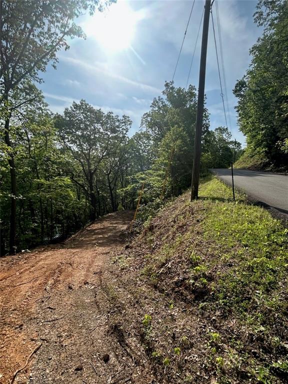 324 Adair Drive Ranger, GA 30734 - Photo 5 of 12 a backyard of a house with lots of green space