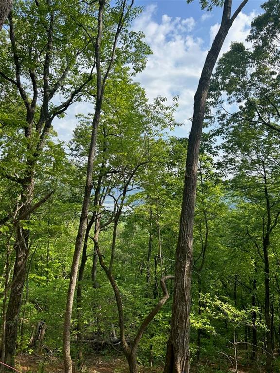 324 Adair Drive Ranger, GA 30734 - Photo 6 of 12