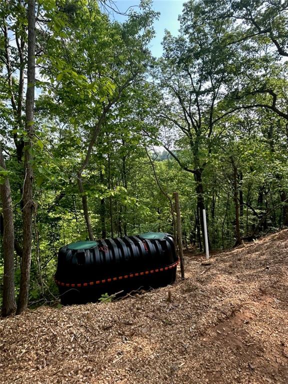 324 Adair Drive Ranger, GA 30734 - Photo 7 of 12 a view of outdoor space and yard