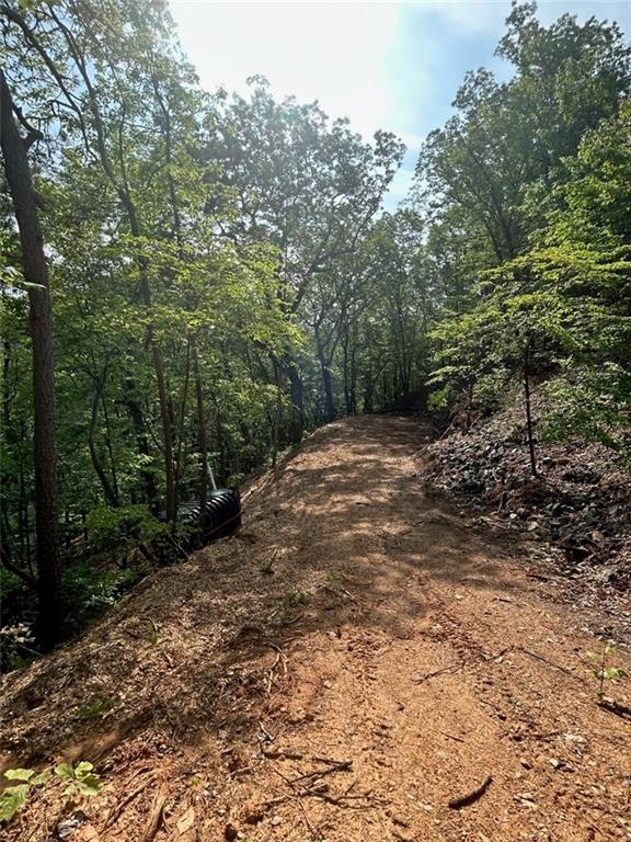 324 Adair Drive Ranger, GA 30734 - Photo 8 of 12 a view of a dirt road with trees in the background