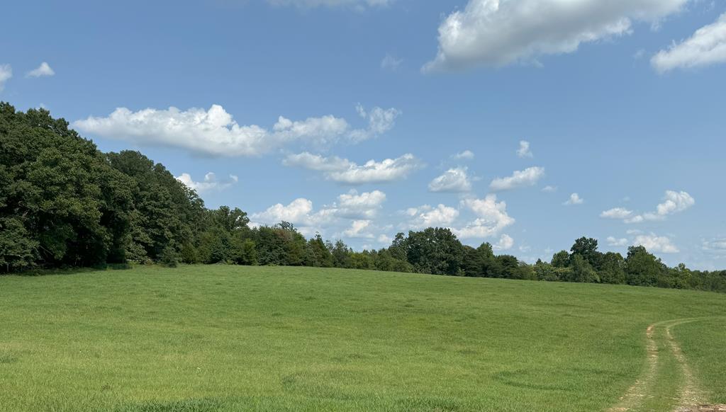 Fearstown Road, Unit 1 Randolph, VA 23962 - Photo 1 of 30 Gallery Image 1