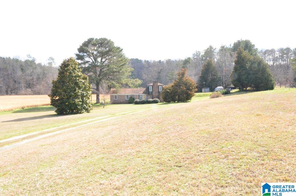 6477 Berney Station Road Talladega, AL 35160 - Photo 6 of 50
