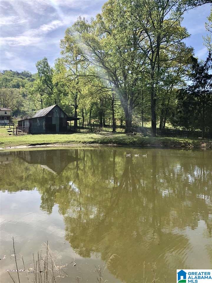 1947 Sand Valley Road Remlap, AL 35133 - Photo 6 of 35