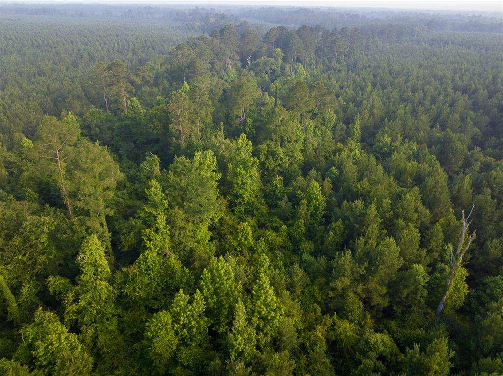 T-1 Dido Loop Pitkin, LA 70656 - Photo 11 of 13