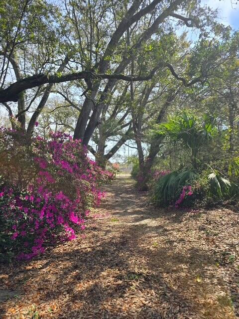 4643 Keyser Lane Pace, FL 32571 - Photo 3 of 7 1000020300