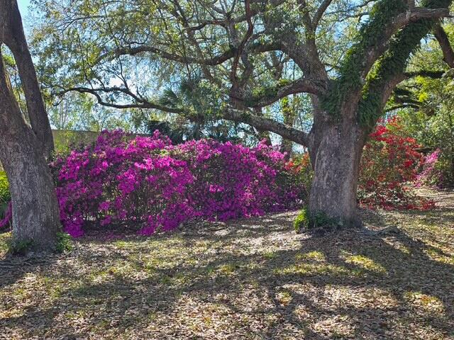 4643 Keyser Lane Pace, FL 32571 - Photo 6 of 7 1000020305