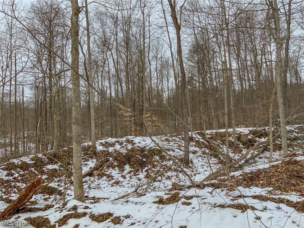 0 Lookout Road Lancaster, OH 43130 - Photo 5 of 35