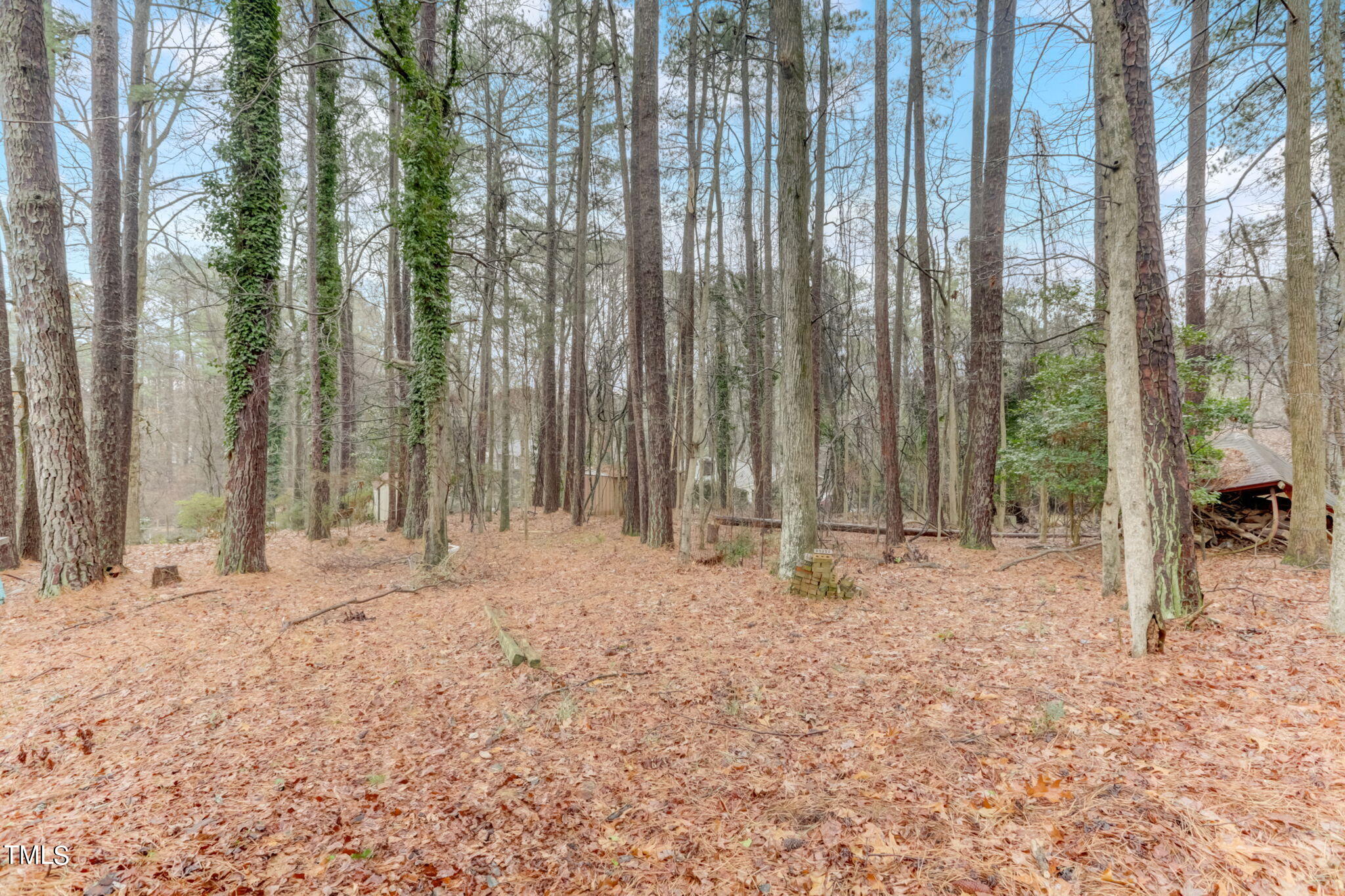 5502 Russell Road Durham, NC 27712 - Photo 31 of 31 30-web-or-mls-Russell Rd-030
