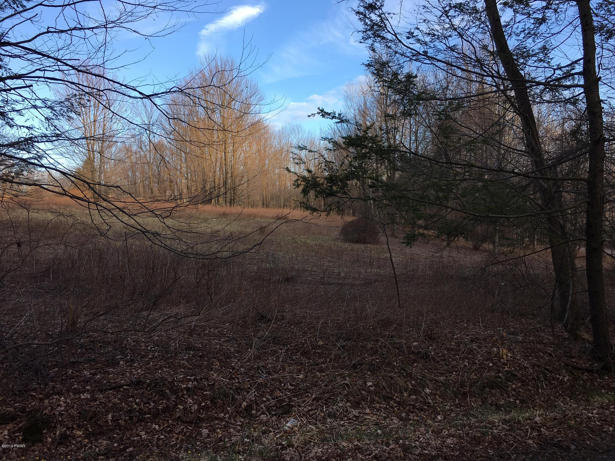 507 Sawmill & Millcreek Road Newfoundland, PA 18445 - Photo 2 of 6