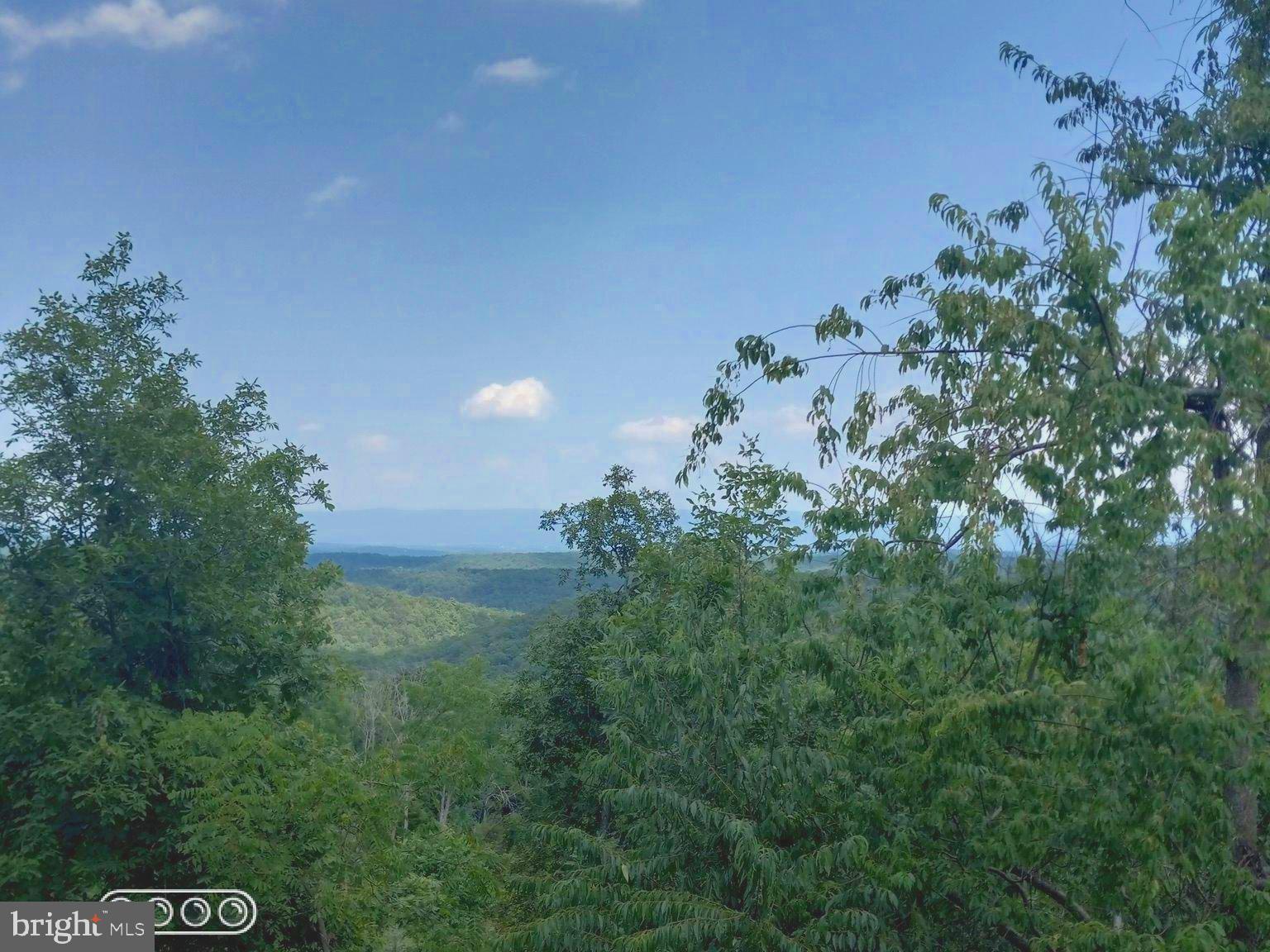 2652 Supinlick Ridge Road Mount Jackson, VA 22842 - Photo 1 of 39