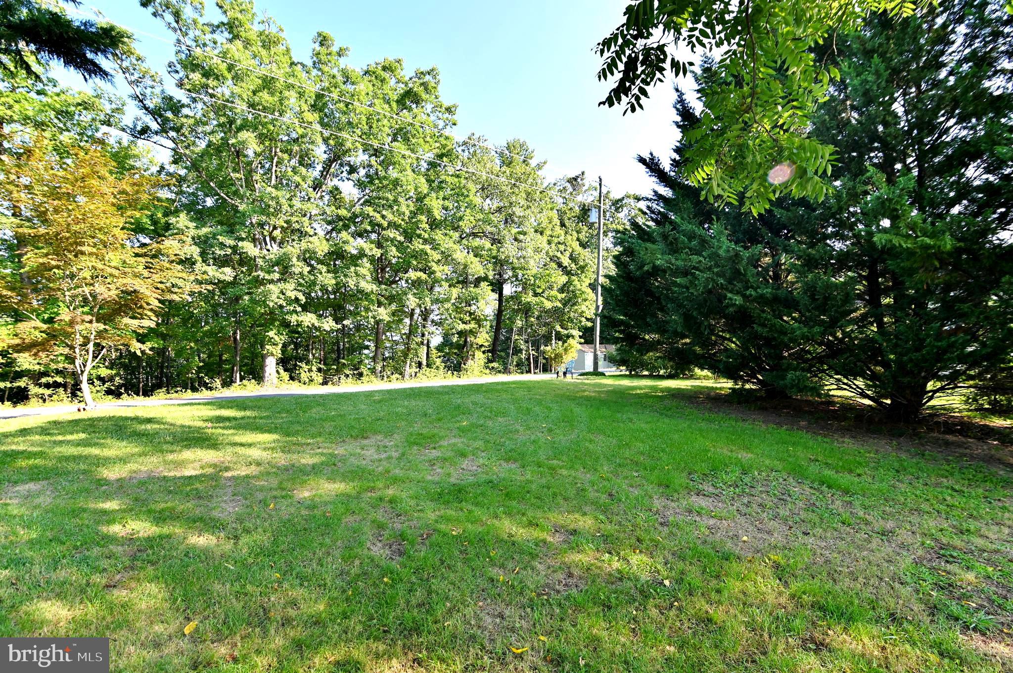 2652 Supinlick Ridge Road Mount Jackson, VA 22842 - Photo 13 of 39 Yard