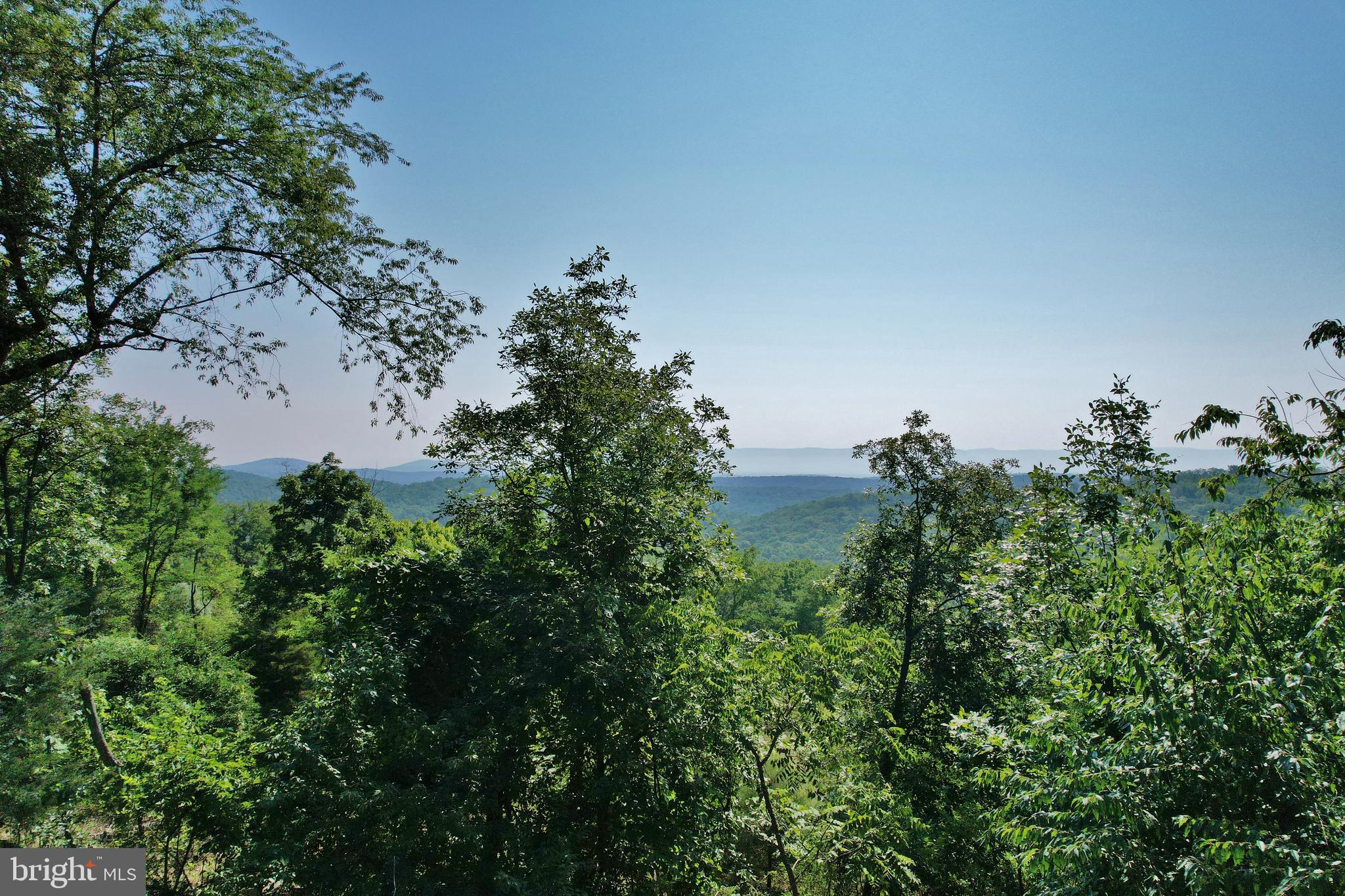 2652 Supinlick Ridge Road Mount Jackson, VA 22842 - Photo 14 of 39