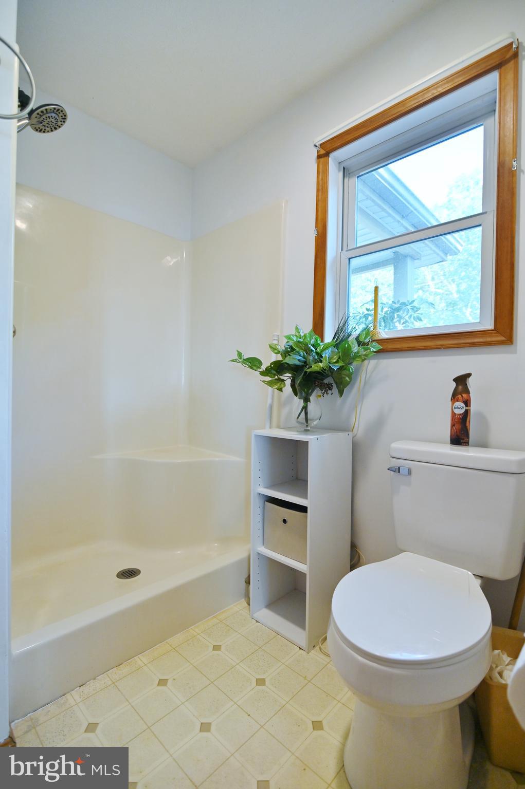 2652 Supinlick Ridge Road Mount Jackson, VA 22842 - Photo 28 of 39 Primary bath