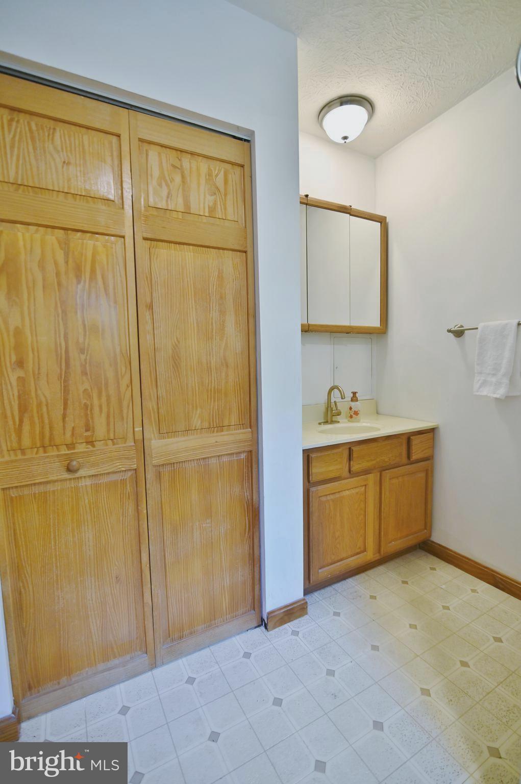 2652 Supinlick Ridge Road Mount Jackson, VA 22842 - Photo 30 of 39 Primary shower