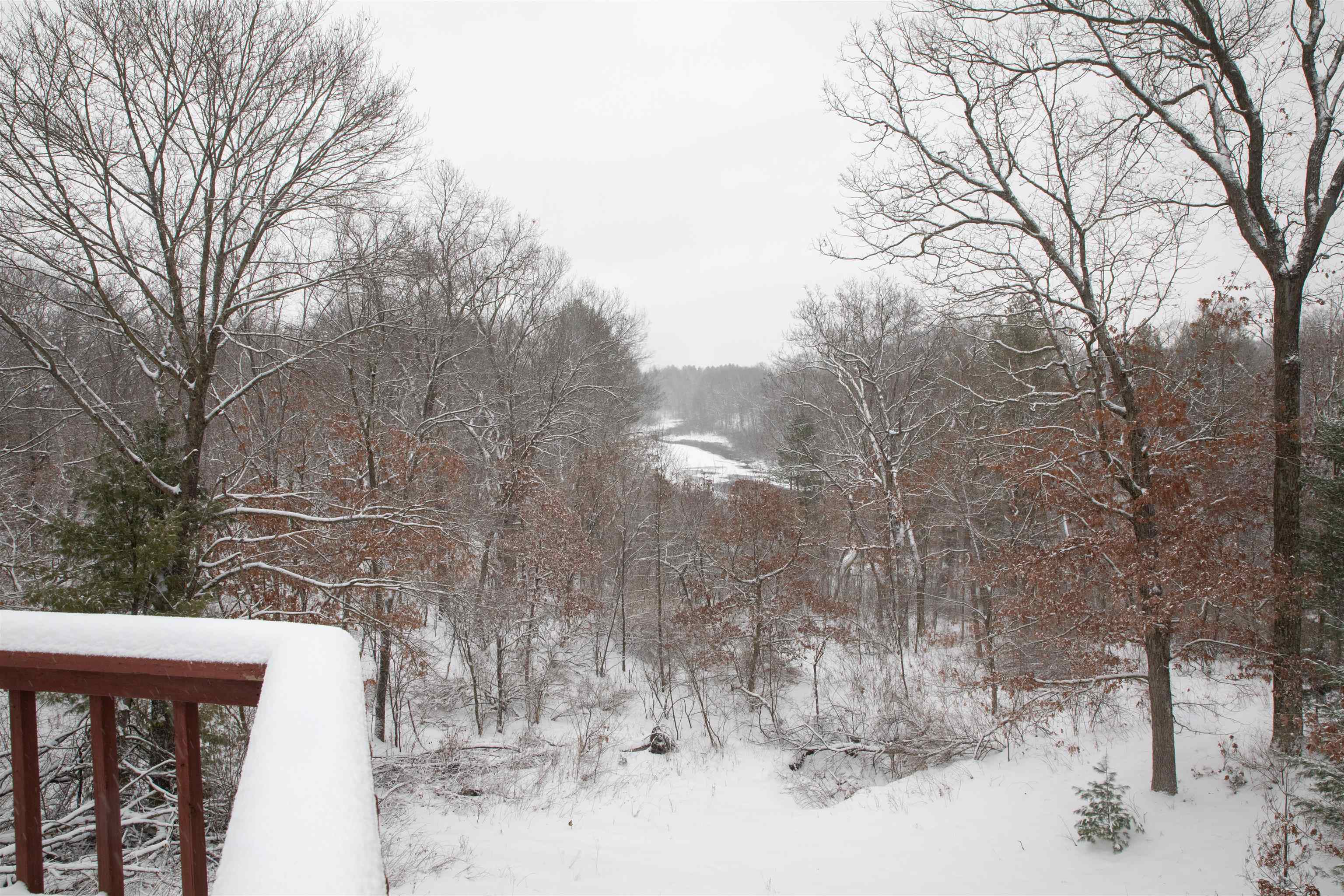 N296 4th Coloma, WI 54930 - Photo 49 of 57