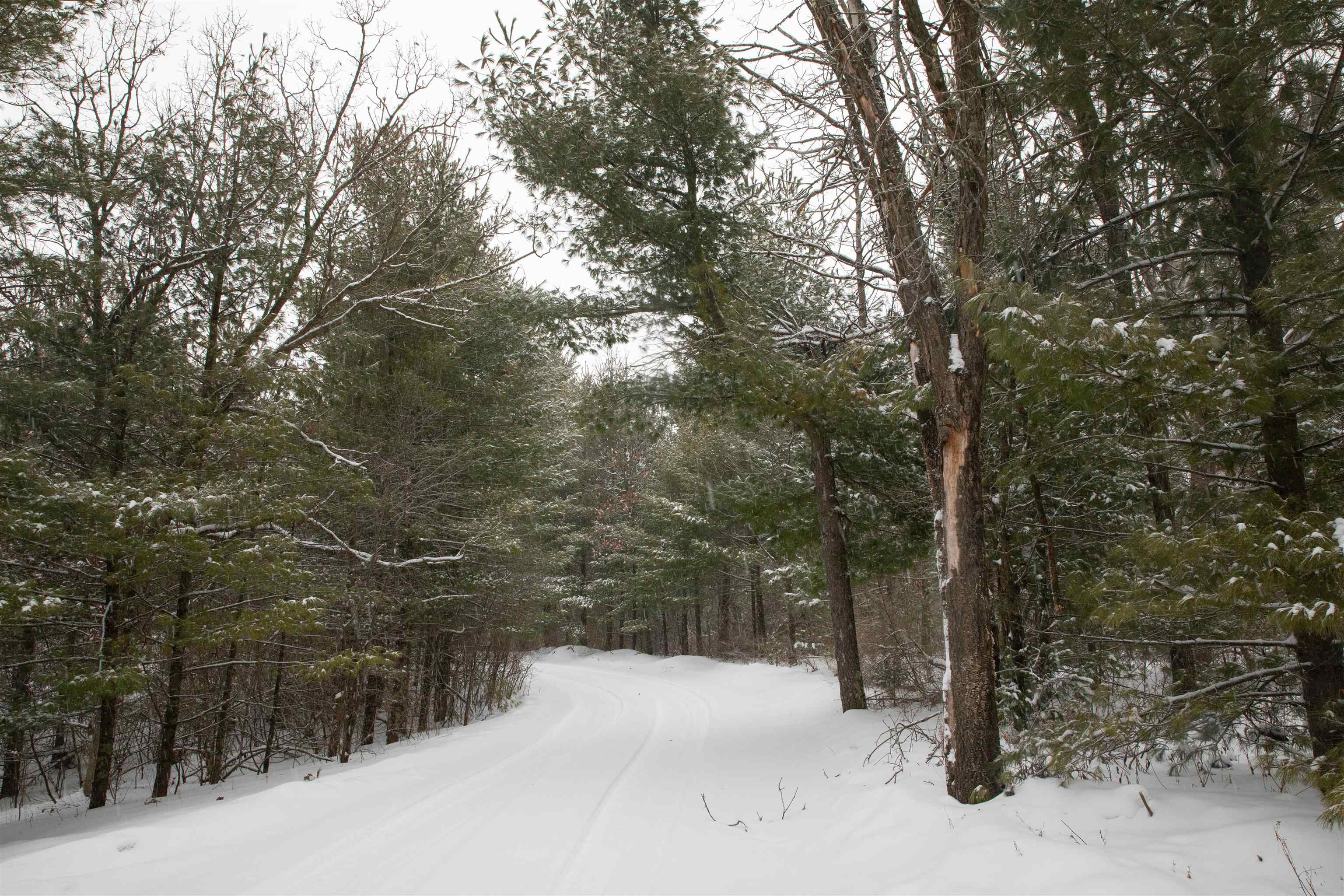 N296 4th Coloma, WI 54930 - Photo 56 of 57
