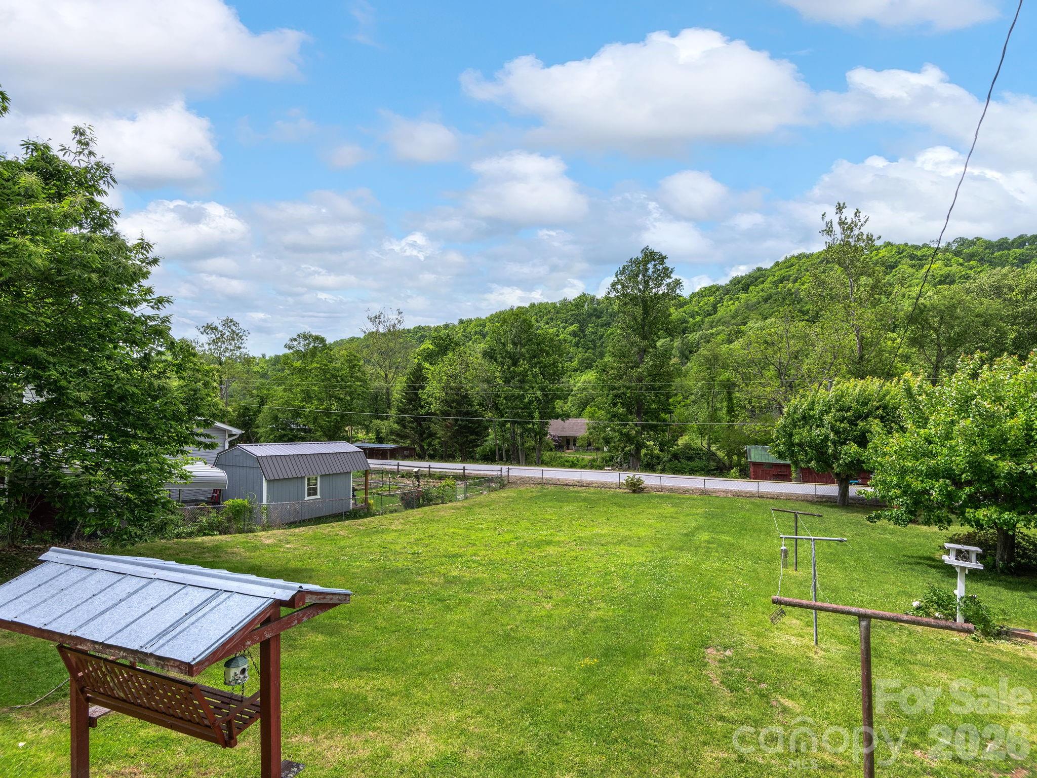 379 North Fork Road Barnardsville, NC 28709 - Photo 14 of 27 a view of a big yard with potted plants and big trees