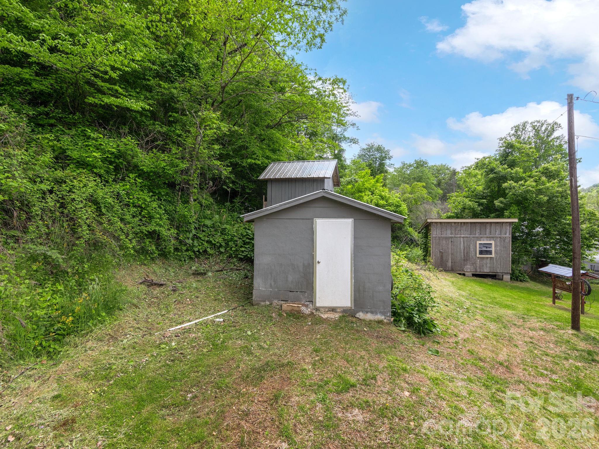379 North Fork Road Barnardsville, NC 28709 - Photo 16 of 27 a view of backyard with potted plants and a large tree