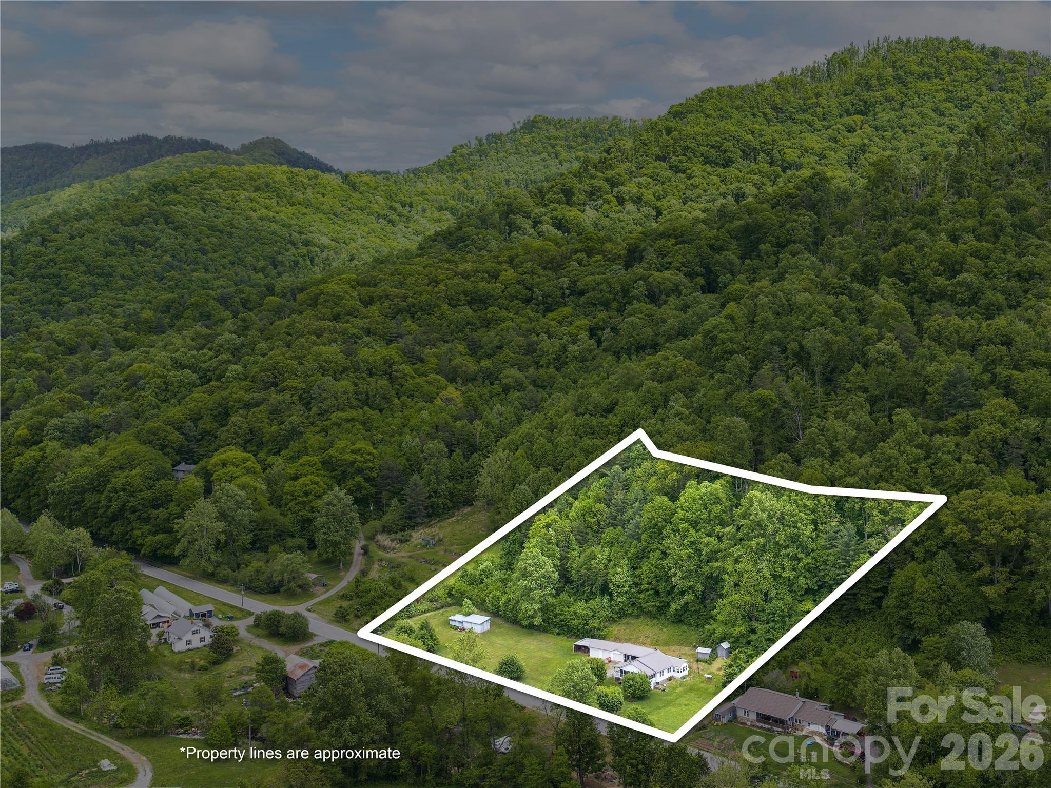 379 North Fork Road Barnardsville, NC 28709 - Photo 2 of 27 a view of a tennis court