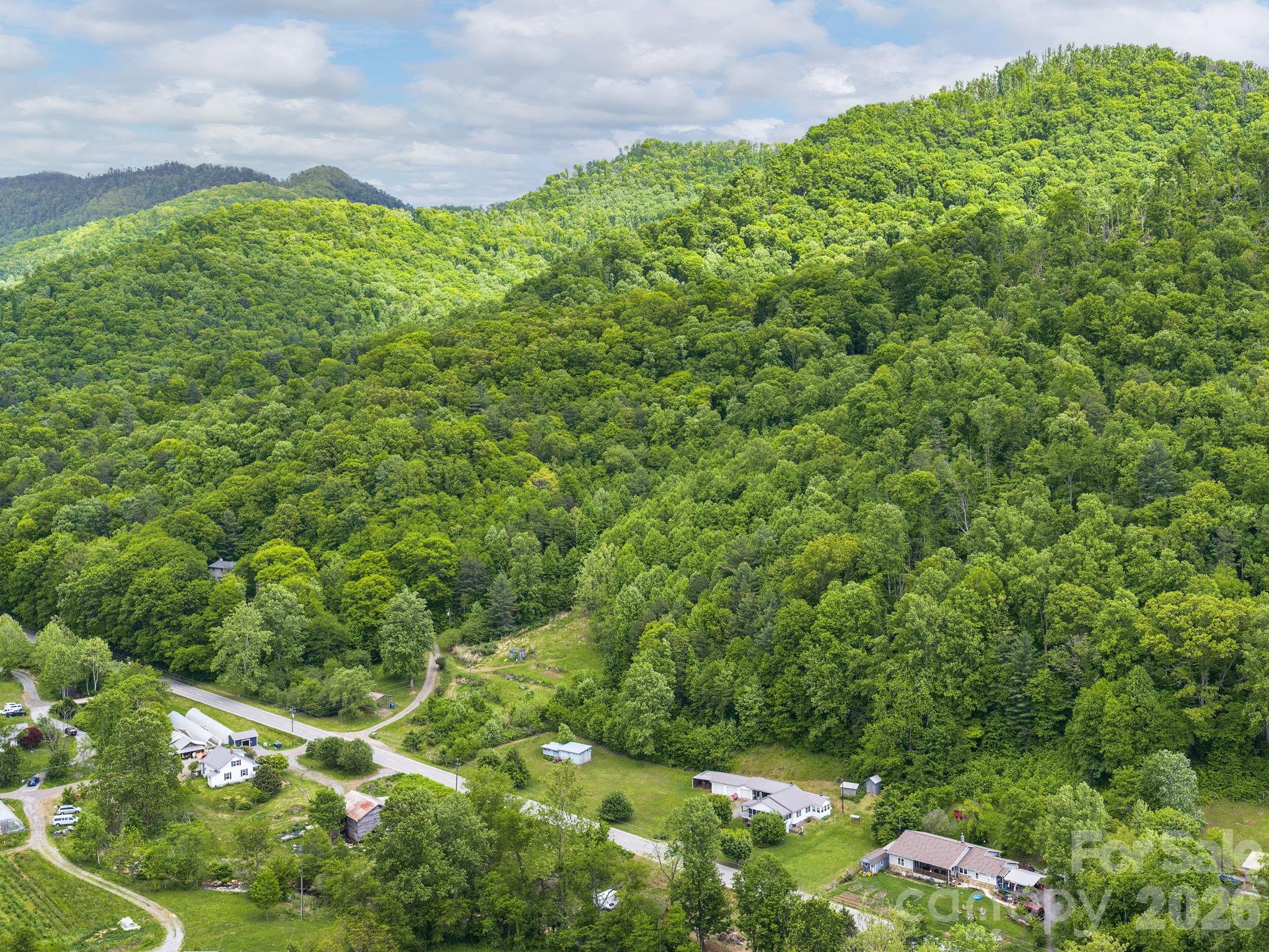 379 North Fork Road Barnardsville, NC 28709 - Photo 21 of 27 a view of a garden