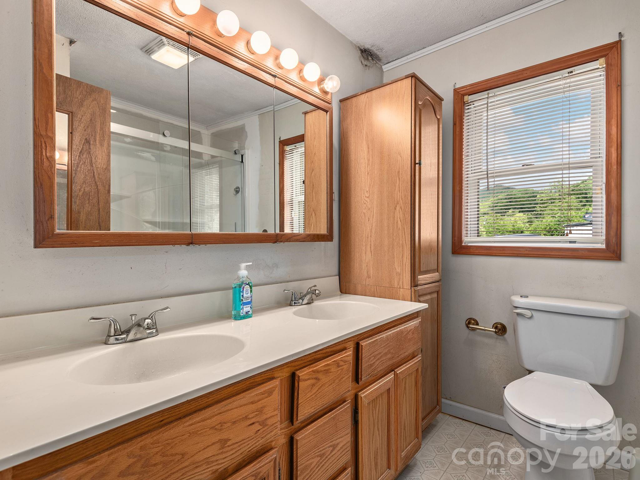 379 North Fork Road Barnardsville, NC 28709 - Photo 10 of 27 a bathroom with a granite countertop sink mirror vanity and toilet