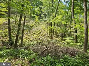 $589,000 | Tiger Valley Road, Hyndman, PA 15545