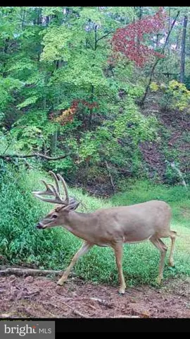 $589,000 | Tiger Valley Road, Hyndman, PA 15545