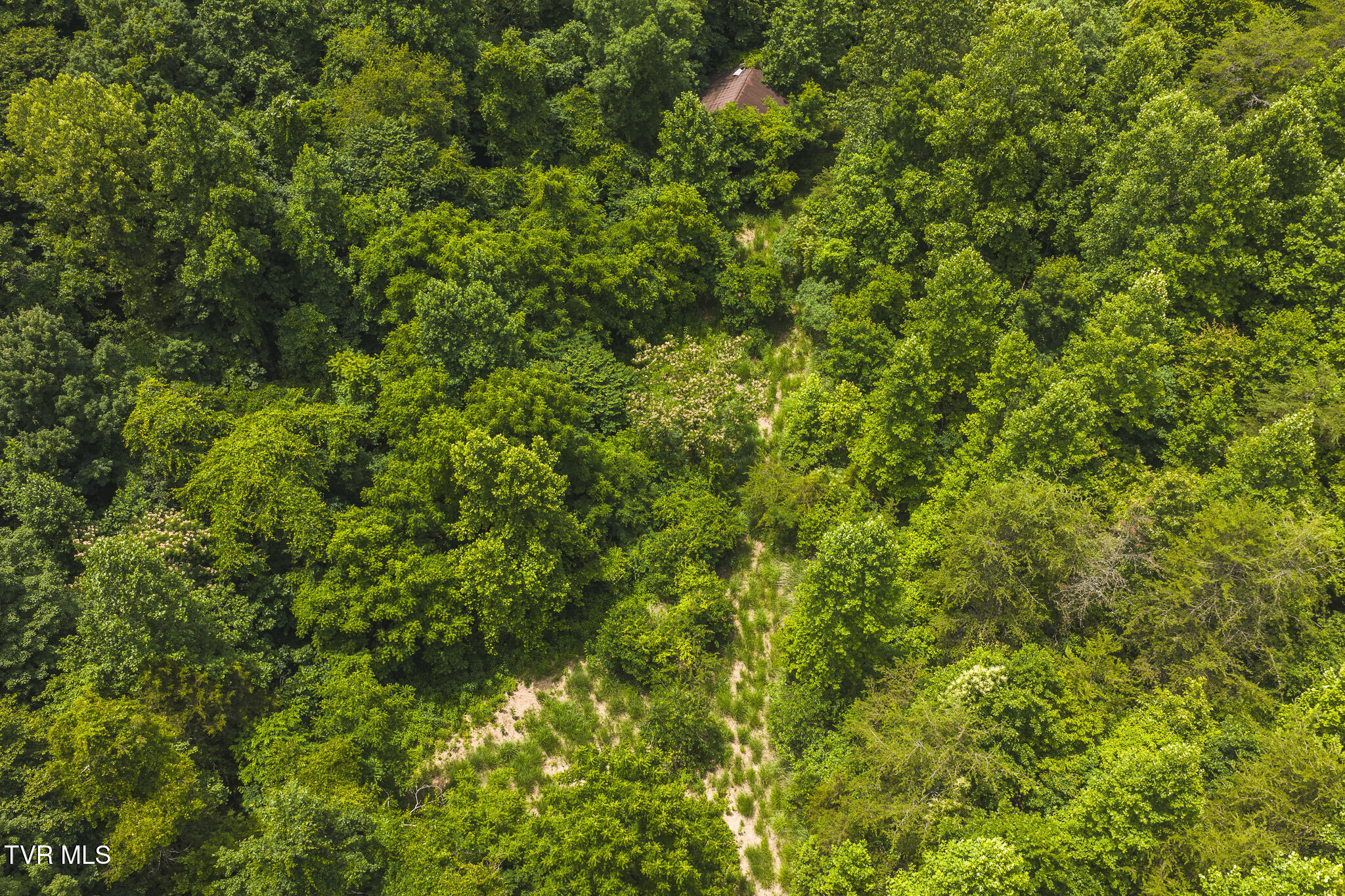 150-ac Big Springs Road Eidson, TN 37731 - Photo 24 of 24 DJI_20260616131249_0251_D