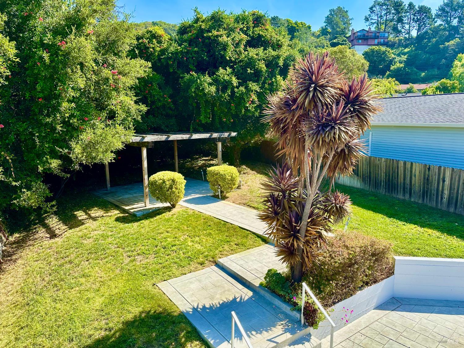 40 Villa Avenue San Rafael, CA 94901 - Photo 37 of 47 a view of a backyard with plants and tree