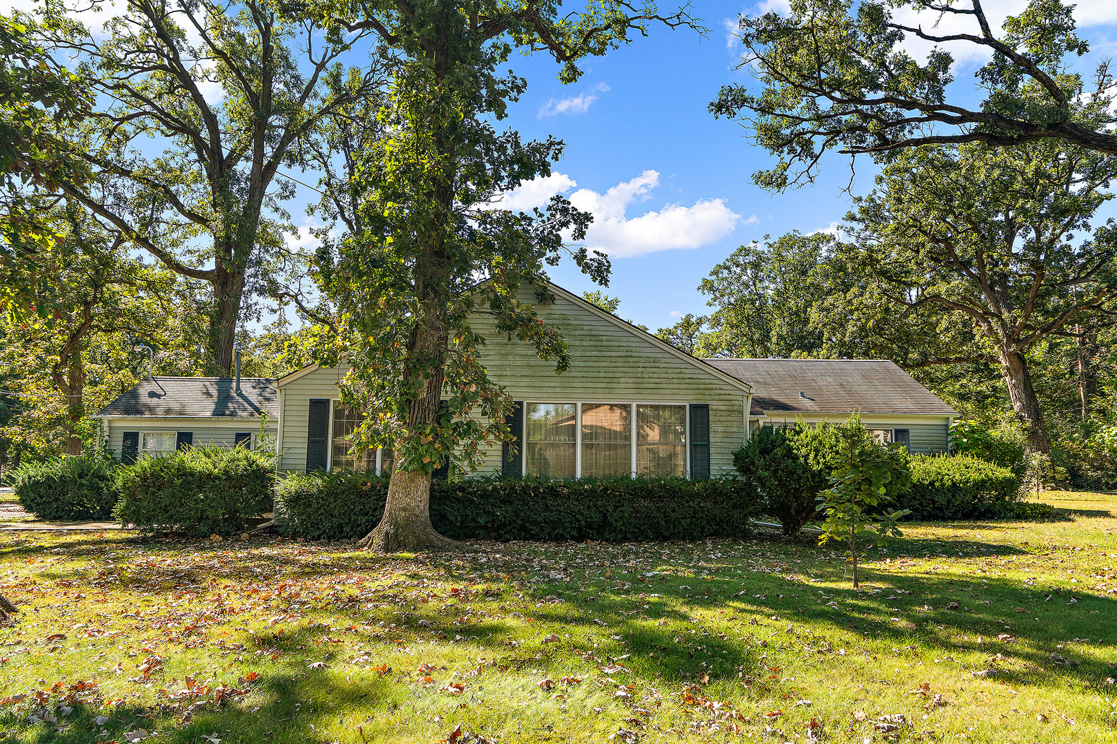 a view of a house with a tree in a yard