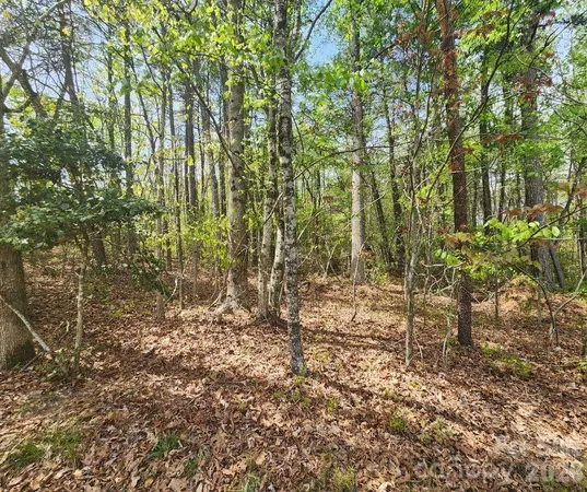 $179,000 | 0 Saddlebrook Lane, Cherryville, NC 28021